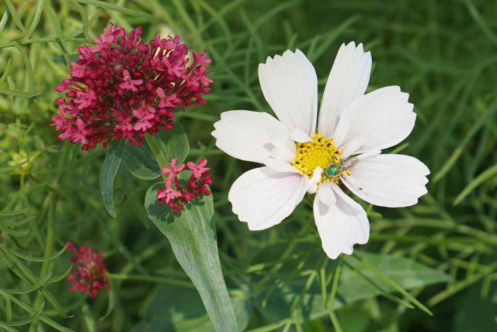 半日禪—給自己的大腦放假