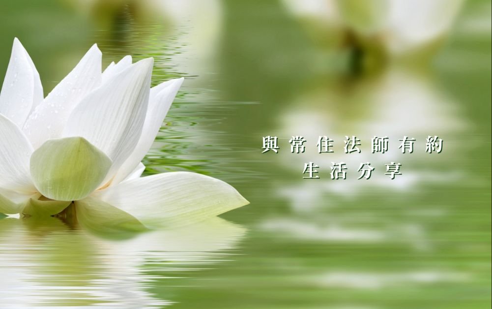 回頭看自己的禪修基礎：數息、五調和持戒 